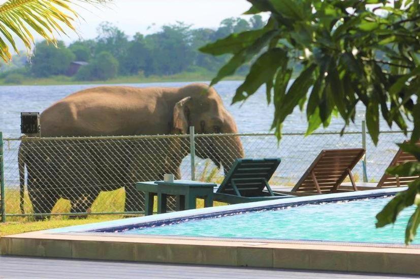 Hotel Lake Park Polonnaruwa Luaran gambar