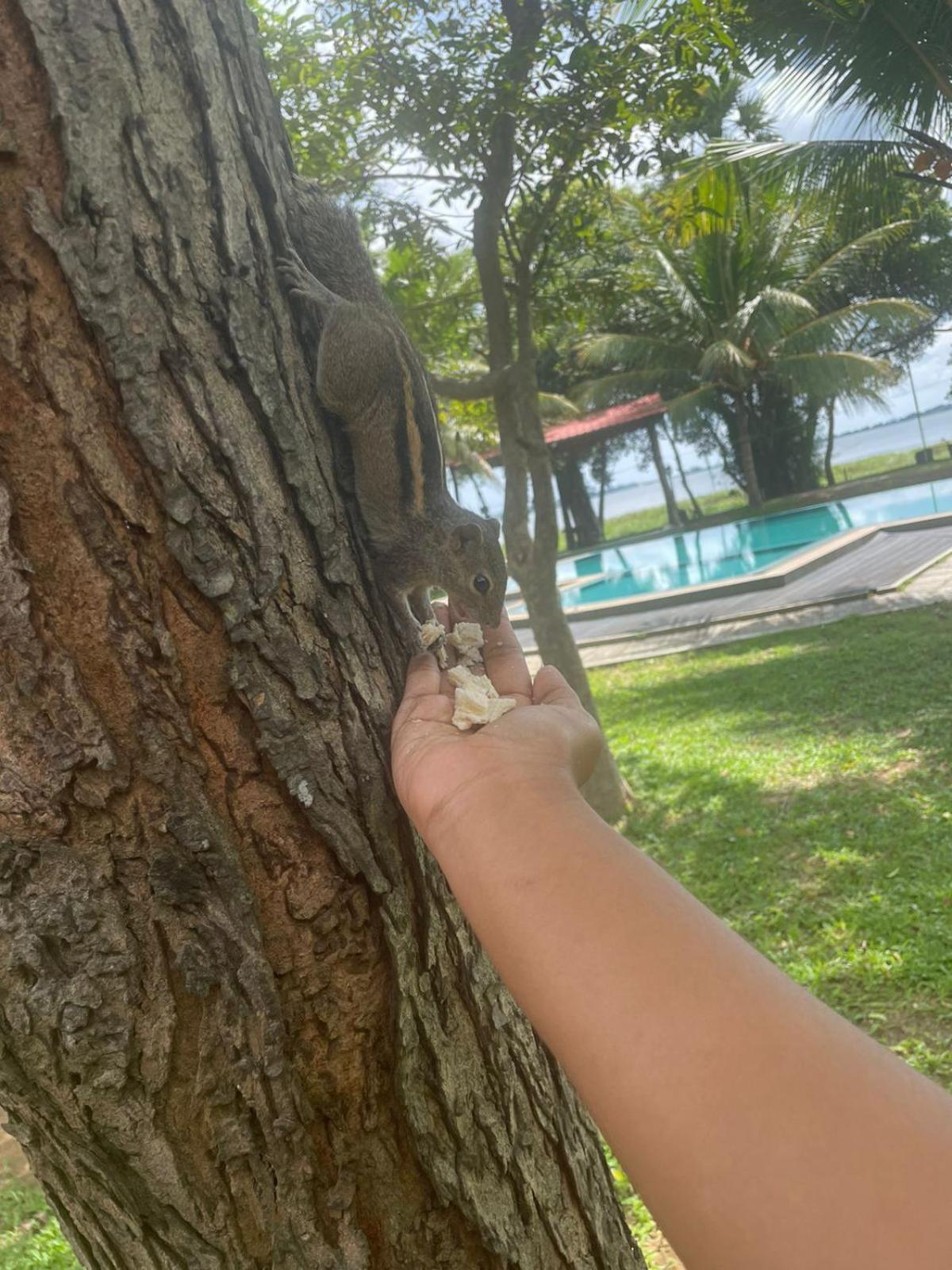 Hotel Lake Park Polonnaruwa Luaran gambar
